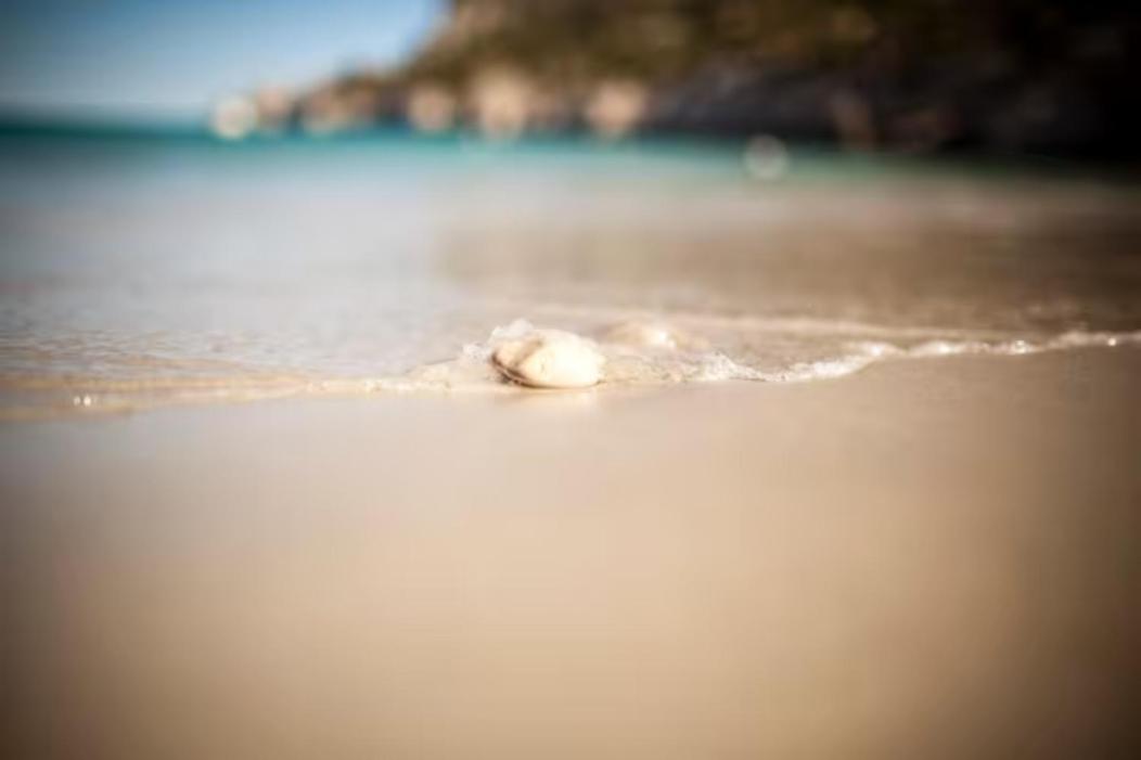 Vue Mer Plage Catalans Vieux Port Clim - 2 Chambres Марсель Экстерьер фото